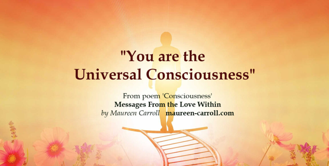 What is Consciousness